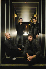The Pineapple Thief