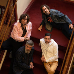 The Mountain Goats