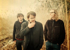 The Notwist