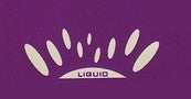 Liquid Records
