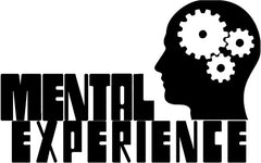 Mental Experience