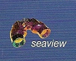 Seaview Records Ltd.
