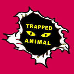 Trapped Animal