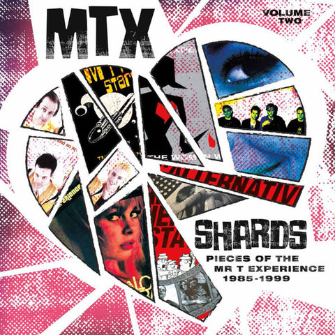 The Mr. T Experience - Shards Vol. 2