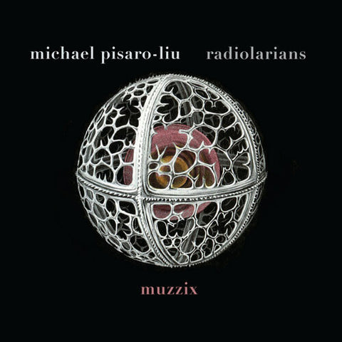Michael Pisaro-Liu, Muzzix - Radiolarians