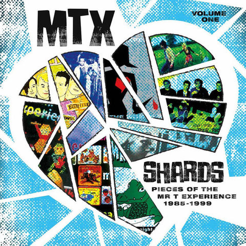The Mr. T Experience - Shards Vol. 1