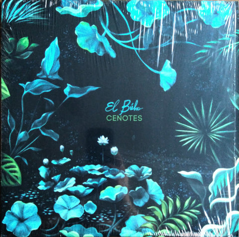 El Búho - Cenotes