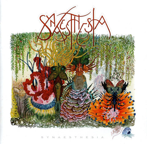 Synaesthesia - Synaesthesia