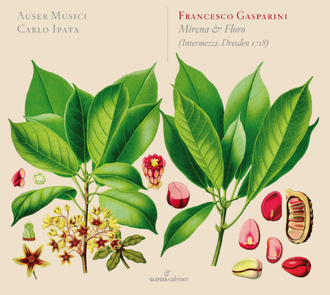 Francesco Gasparini - Auser Musici, Carlo Ipata - Mirena & Floro (Intermezzi Dresden 1718)