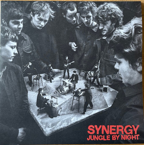 Jungle By Night - Synergy
