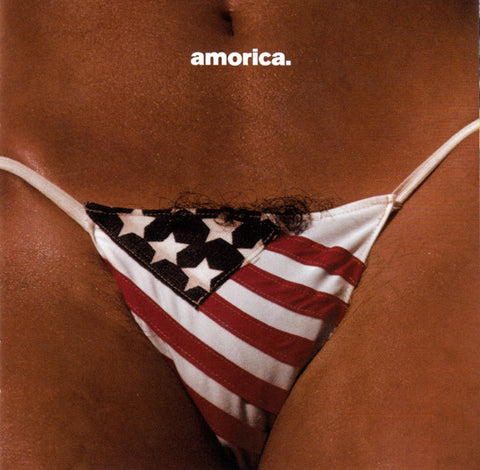 The Black Crowes - Amorica