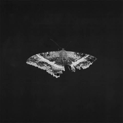Kendrick Lamar - To Pimp A Butterfl