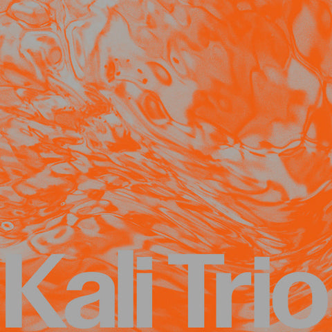KALI Trio - The Playful Abstract