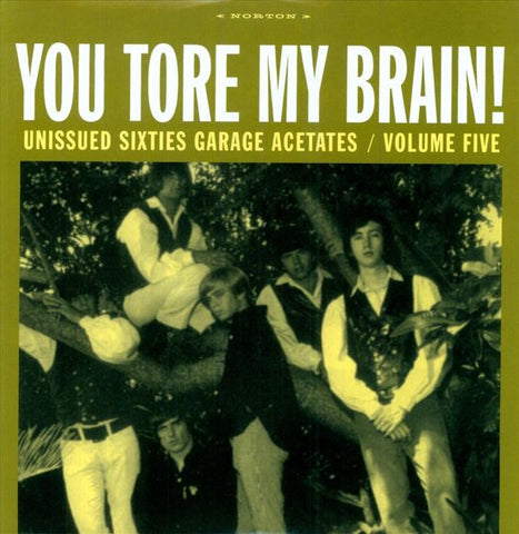 Various - You Tore My Brain! Unissued Sixties Garage Acetates / Volume Five