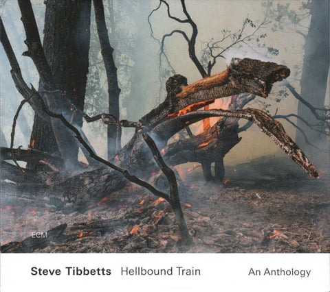 Steve Tibbetts - Hellbound Train (An Anthology)