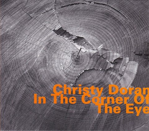 Christy Doran - In The Corner Of The Eye