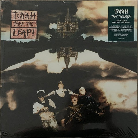 Toyah - Take The Leap