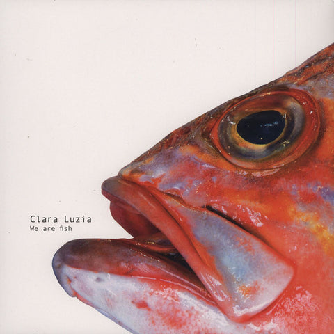 Clara Luzia - We Are Fish