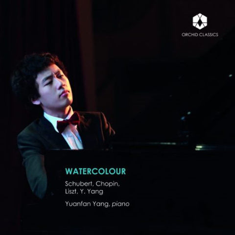 Schubert, Chopin, Liszt, Yuanfan Yang - Watercolour