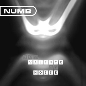 Numb - The Valence Of Noise