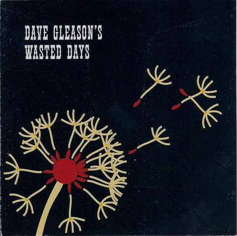 Dave Gleason's Wasted Days - Dave Gleason's Wasted Days