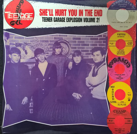 Various - She'll Hurt You In The End (Teener Garage Explosion Volume 2!)