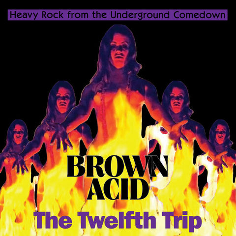 Various - Brown Acid: The Twelfth Trip (Heavy Rock From The Underground Comedown)