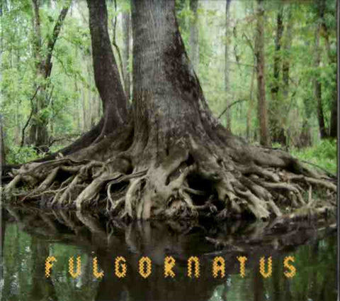 Fulgornatus - Ornate Lightning