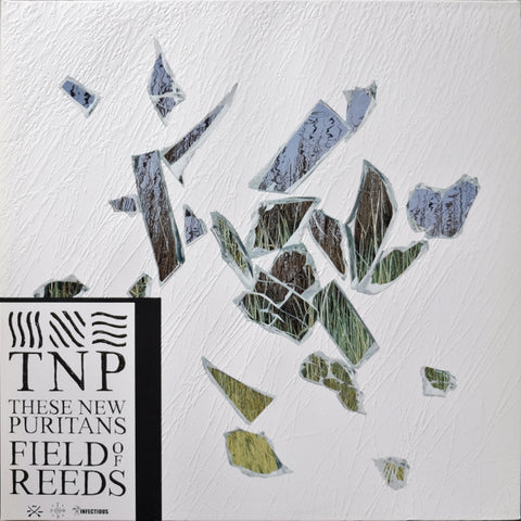 These New Puritans - Field Of Reeds