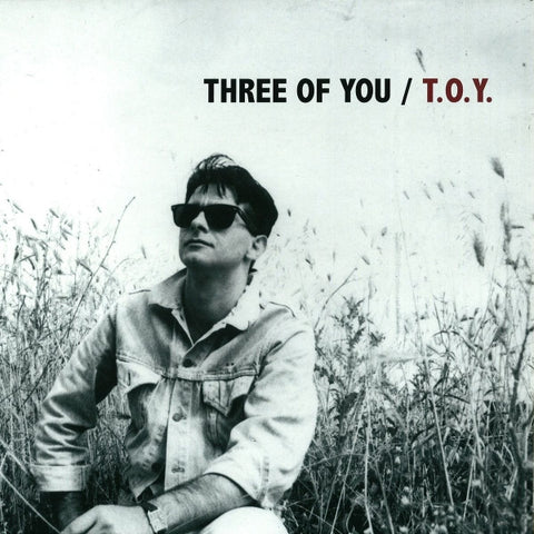Three Of You - T.O.Y.