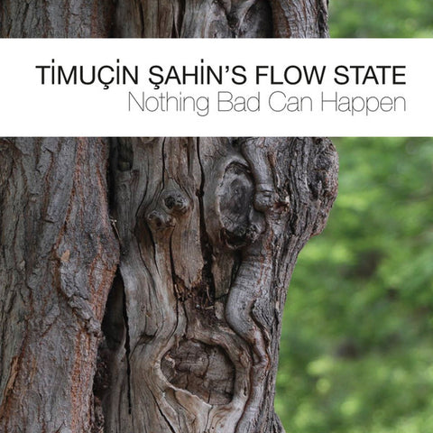 Timuçin Şahin's Flow State - Nothing Bad Can Happen