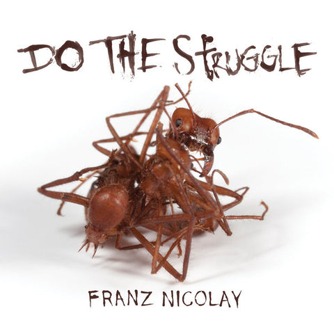Franz Nicolay - Do The Struggle
