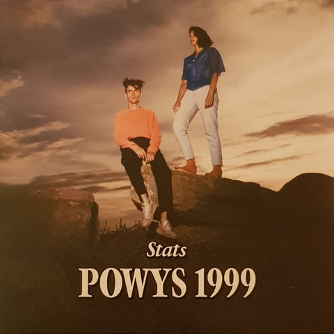 Stats - Powys 1999