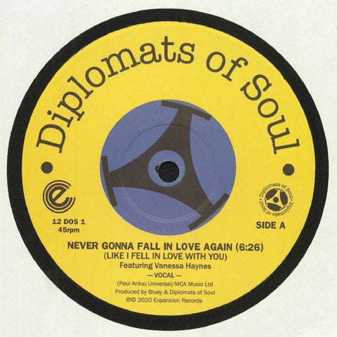 Diplomats Of Soul Featuring Vanessa Haynes - Never Gonna Fall In Love Again (Like I Fell In Love With You)