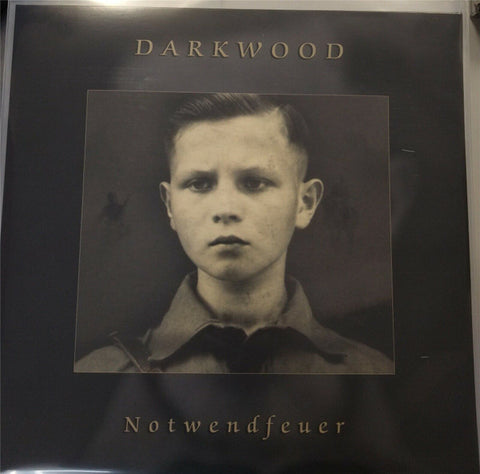 Darkwood - Notwendfeuer
