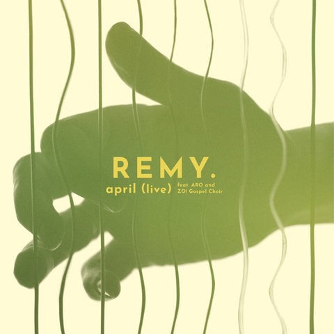Remy Van Kesteren - April (Live)