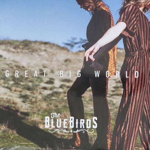 The BlueBirds - Great Big World