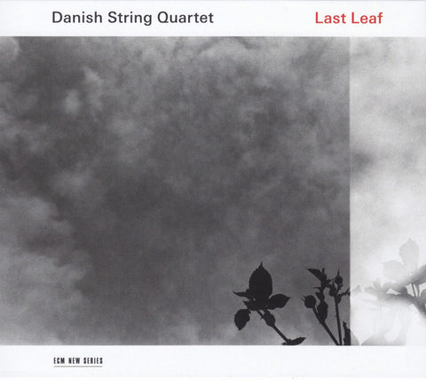 Danish String Quartet, - Last Leaf