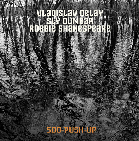 Vladislav Delay / Sly Dunbar / Robbie Shakespeare - 500-Push-Up