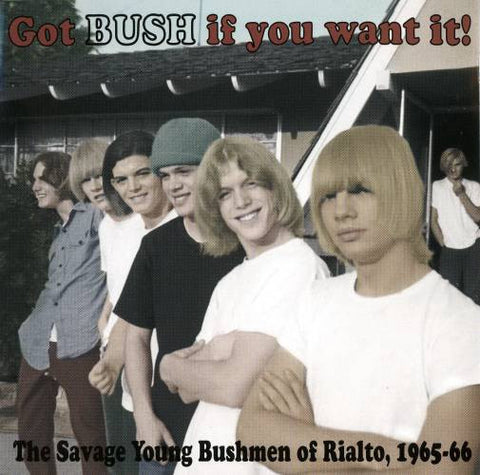 The Bush - Got Bush If You Want It!