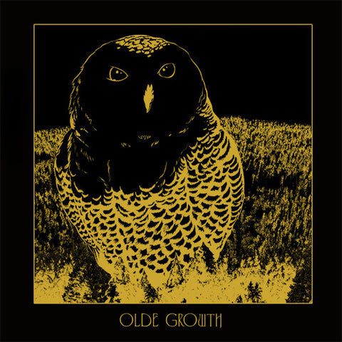 Olde Growth - Owl