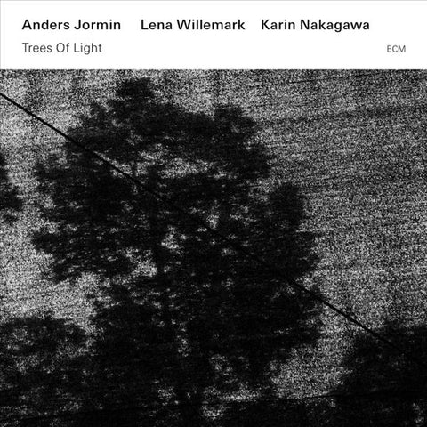 Anders Jormin / Lena Willemark / Karin Nakagawa - Trees Of Light