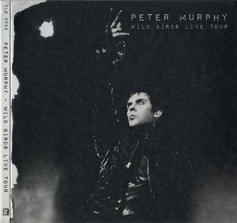 Peter Murphy - Wild Birds Live Tour