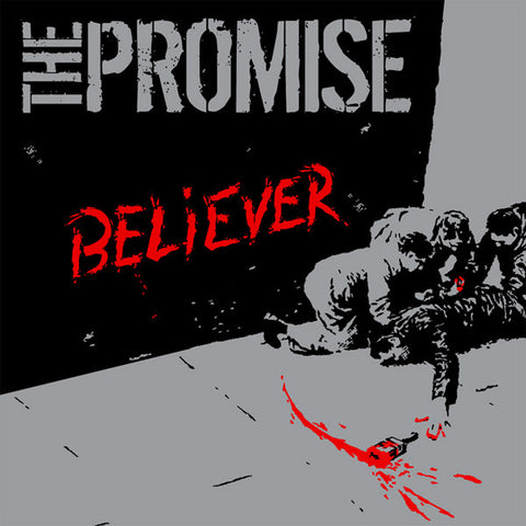 The Promise - Believer