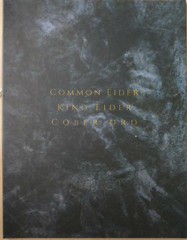 Common Eider, King Eider, Cober Ord - Palimpseste