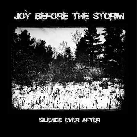 Joy Before The Storm - Silence Ever After