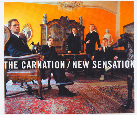 The Carnation - New Sensation