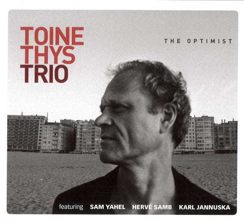 Toine Thys Trio - The Optimist