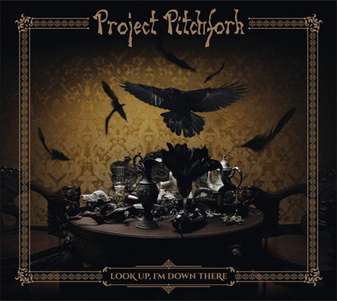 Project Pitchfork - Look Up, I'm Down There