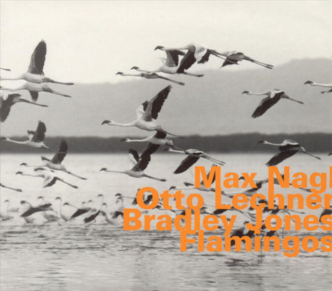 Max Nagl / Otto Lechner / Bradley Jones - Flamingos